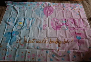 Baner dekoracyjny (tło fotograficzne) Dekoracja na przyjęcie "Chłopiec czy Dziewczynka"150x210 cm