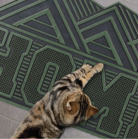 WYCIERACZKA GUMOWA DO BUTÓW W KSZTAŁCIE DOMU HOME 75x45CM czarno zielona