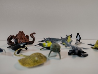 Figurki Mini ocean 16 szt realistyczne podwodne zwierzęta Morskie