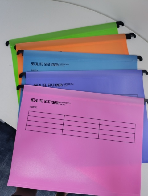 Teczka zawieszkowa Zestaw 5 szt Kolorowych Teczek (Suspension Files)