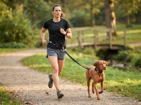 Zoofari Smycz do joggingu Smycz treningowa z pasem biodrowym Obroża dla psa ze smyczą