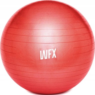 WFX PIŁKA GIMNASTYCZNA FITNESS DO SIEDZENIA BALANSOWANIA 65CM + POMPKA