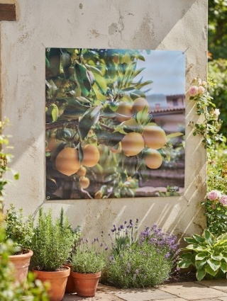 Duży Plakat Zewnętrzny 80x80 cm Cytrusy Obraz Ogrodowy Na Płot Balkon Taras Wodoodporny UV