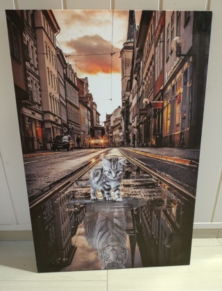 Nowoczesny obraz drukowany na wodoodpornym płótnie kot i odbicie tygrysa 90x60 cm