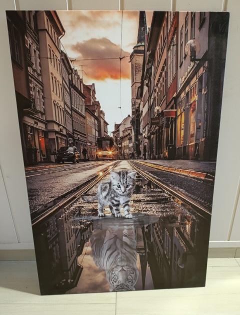 Nowoczesny obraz drukowany na wodoodpornym płótnie kot i odbicie tygrysa 90x60 cm