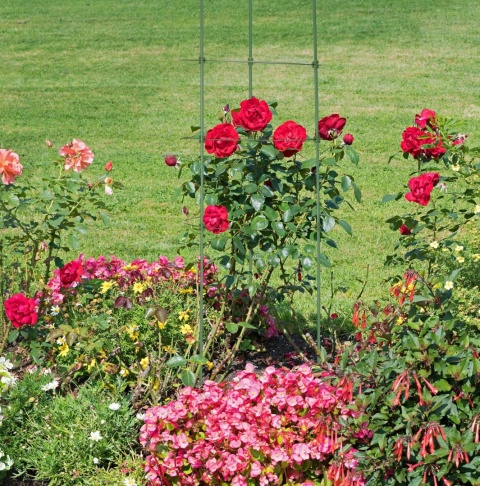 RELAXDAYS PERGOLA PODPÓRKA ZESTAW 8SZT DLA ROŚLIN PNĄCYCH POMIDORÓW 90cm