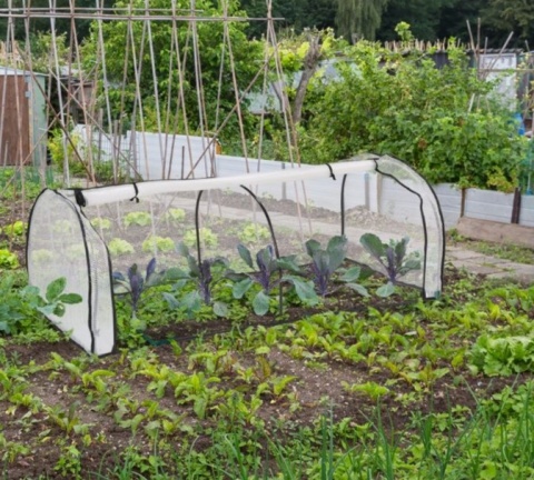 Szklarnia Relaxdays 200 x 100 m x 80 cm, tunel foliowy