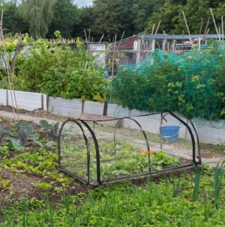 Szklarnia ogrodowa tunel foliowy z folii PCW 78x 189 x 71 cm