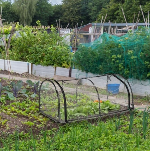 Szklarnia ogrodowa tunel foliowy z folii PCW 78x 189 x 71 cm