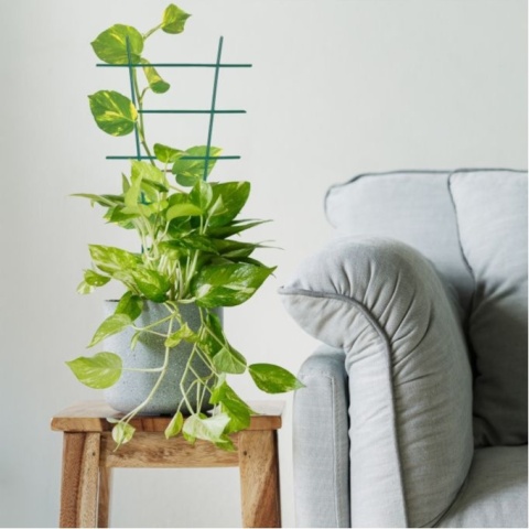 Podpora do roślin,Zestaw 12 Kratek Wspinaczkowych do Roślin – 43 x 23 cm Relaxdays