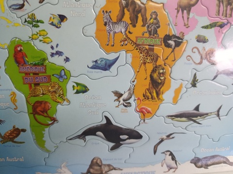 Puzzle ramkowe mapa świata, zwierzęta 28 elementów