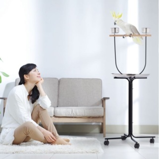 Siedzisko zewnętrzne Relaxdays dla papug - wada