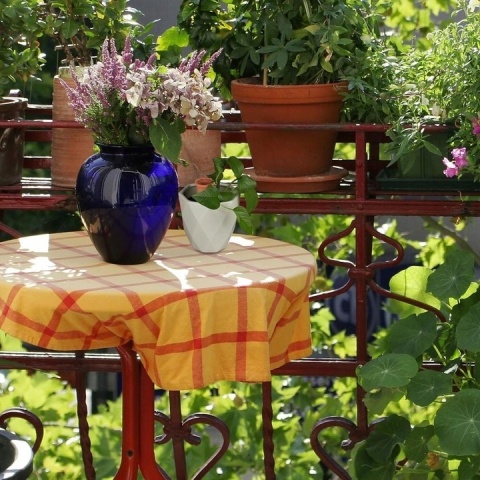 Gliniany stożek Zestaw 4 szt do nawadniania roślin Gliniany stożek Zestaw 4 szt do nawadniania roślin