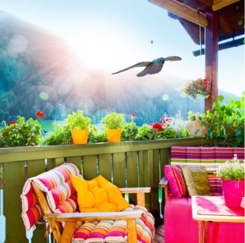 Realistyczny Latający Sokół – odstraszacz ptaków dekoracja ogrodu