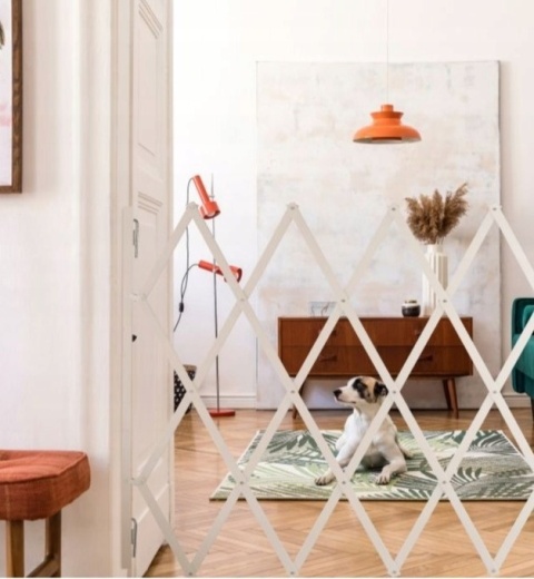 Wysuwana barierka dla psa, biała