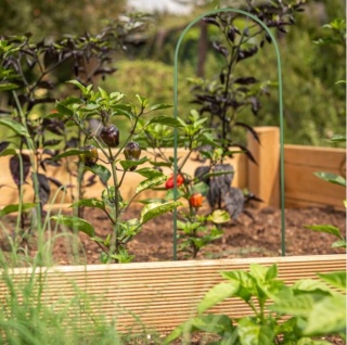 Pergola łuk do pnących roślin pomidorów 5 szt 120 cm