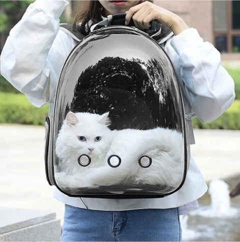 Transporter- plecak dla kota/ psa