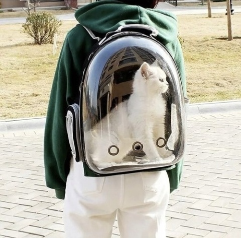Transporter- plecak dla kota/ psa